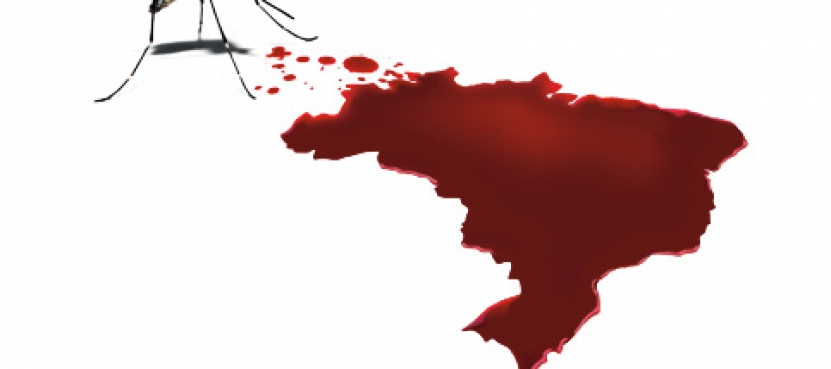 تب دنگی، آنچه در پس اپیدمی جدید در برزیل نهفته است