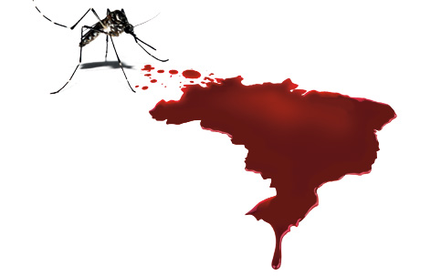 تب دنگی، آنچه در پس اپیدمی جدید در برزیل نهفته است