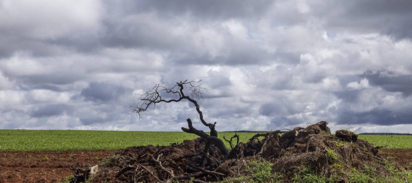 سازمان ملل متحد: بحران آب و هوا، به اقتصاد برزیل خسارات جدی وارد می‌آورد